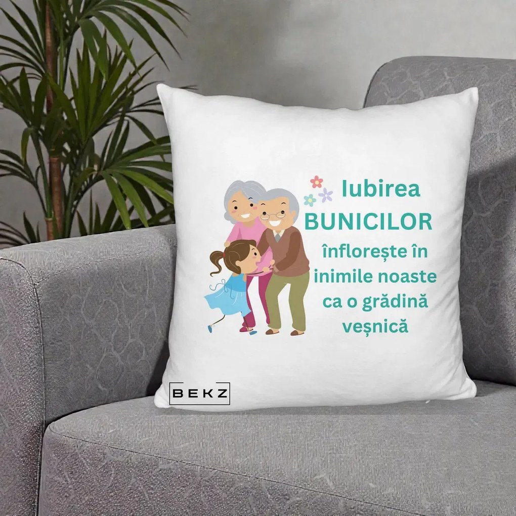 Cadou pentru Bunici - Perna Personalizata Bunicii Iubirea Infloreste cu Nepoata Teal, 40x40 cm, Alb Pufos, Husa Detasabila, Perna Inclusa, BEKZ®