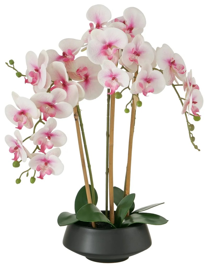 Orhidee alb-roze 30/22/65 cm