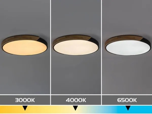 Rabalux 71418 - Lampă LED de tavan MAPLE2 42W/230V 3000/4000/6500K negru/stejar Ø61 cm