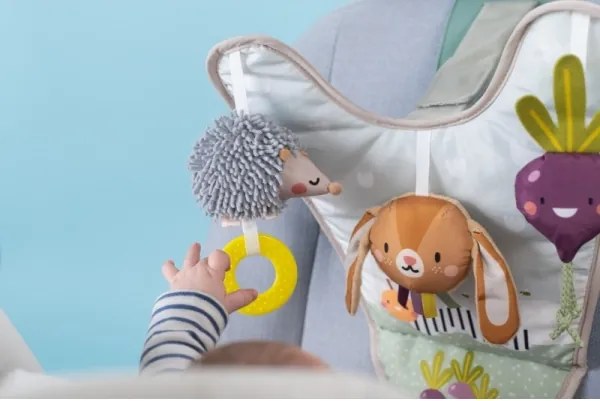 Centru de joacă auto Grădină Taf Toys