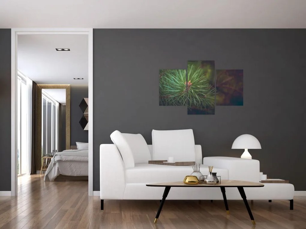 Tablou - Pin (90x60 cm)