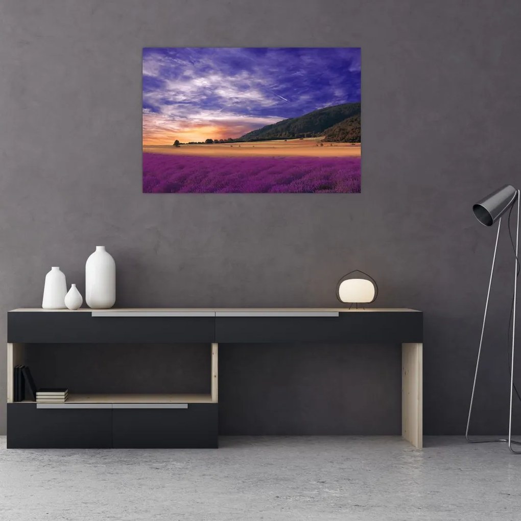 Tablou cu lunca cu lavandă (90x60 cm)