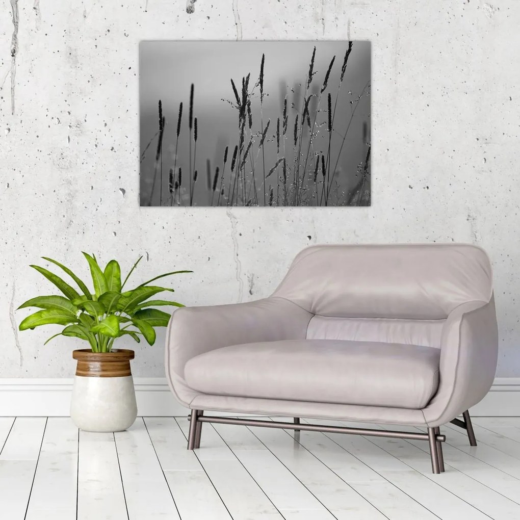 Tablou pe sticlă - Lamele de iarbă (70x50 cm)