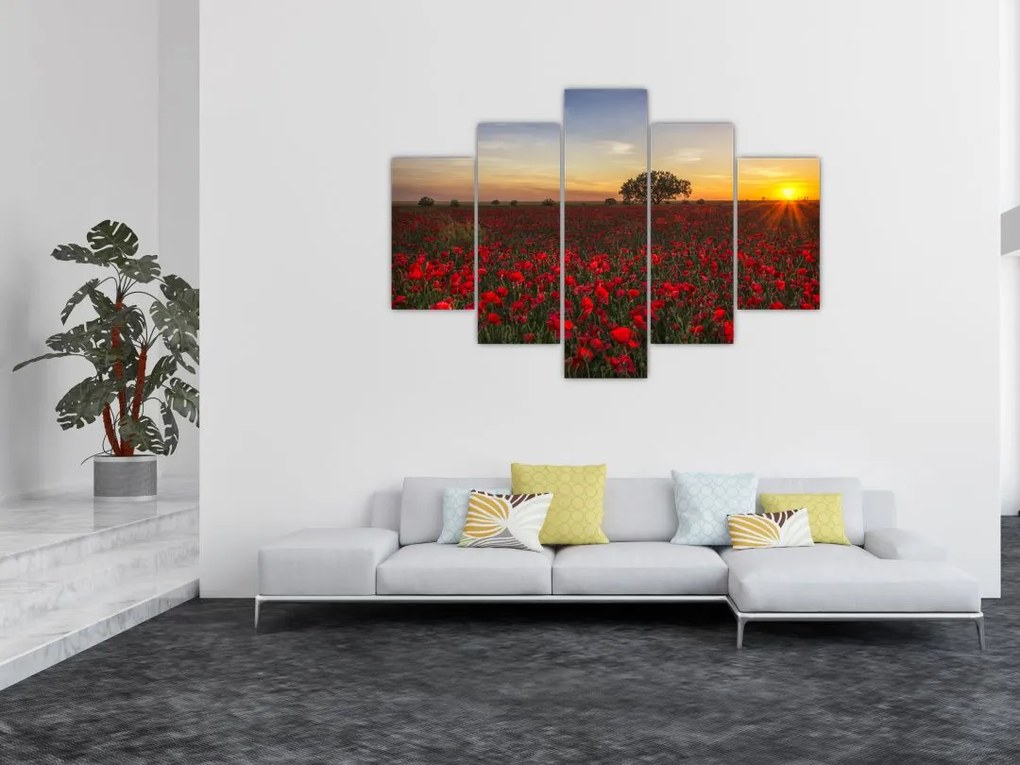 Tablou cu lunca și macii (150x105 cm)