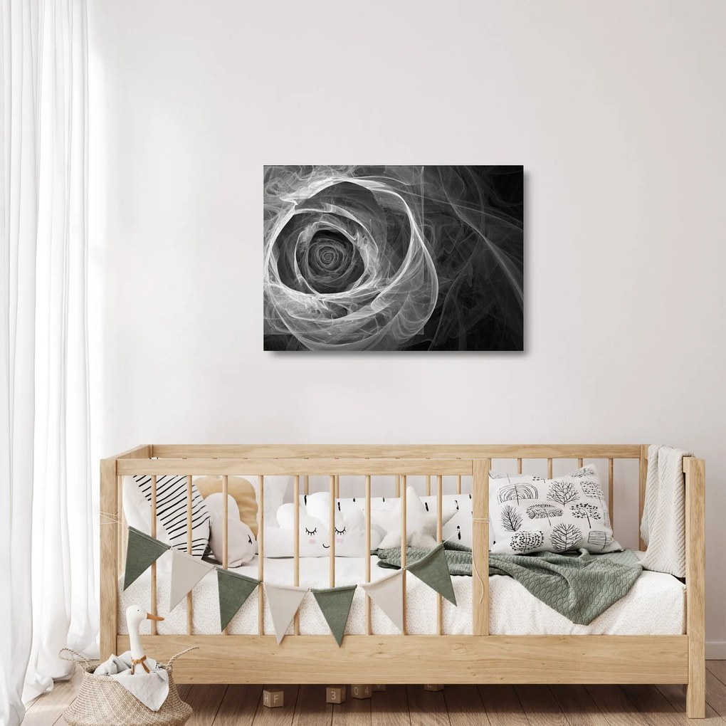 Tablou pe sticlă - Abstract trandafir negru și alb (70x50 cm)