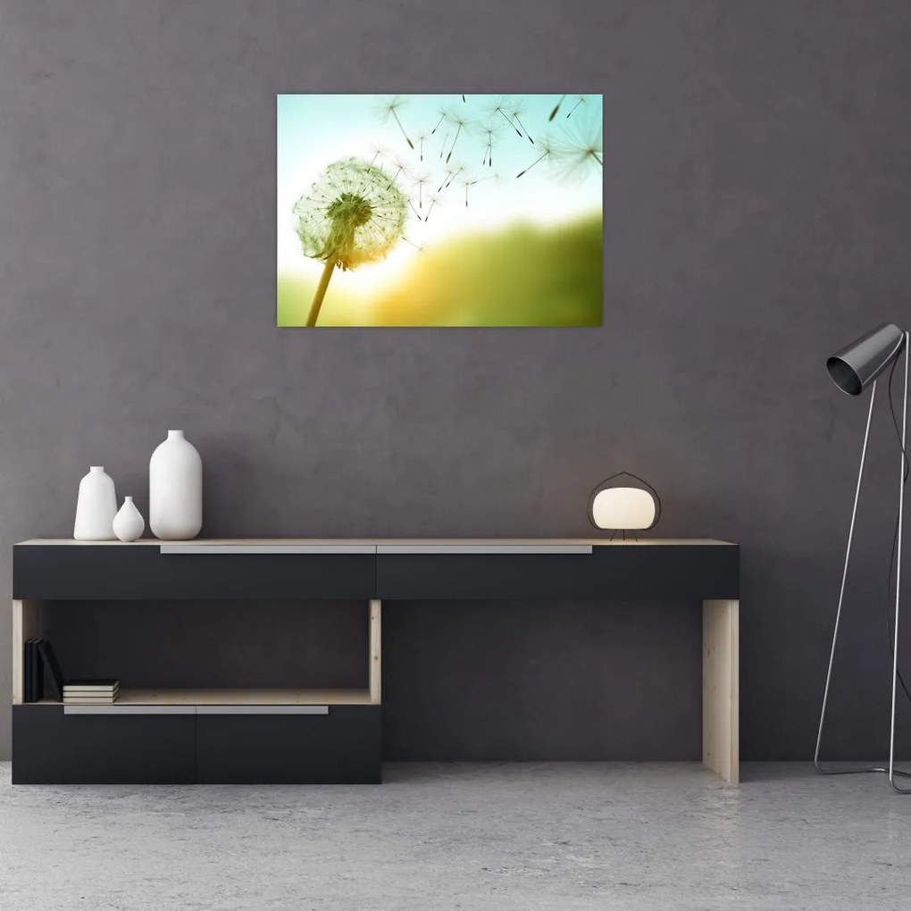 Tablou pe sticlă - Păpădia în vânt (70x50 cm)