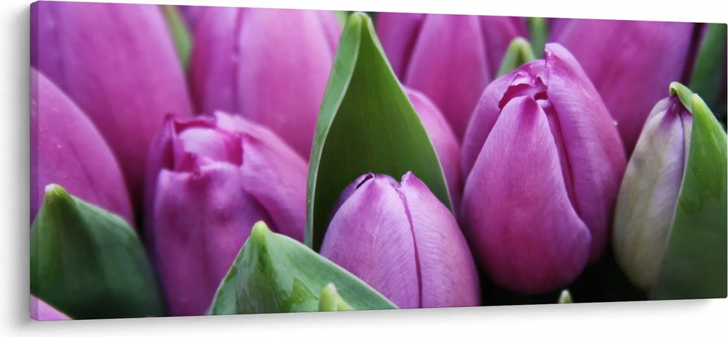 Tablou - florile lalelelor (120x50 cm)