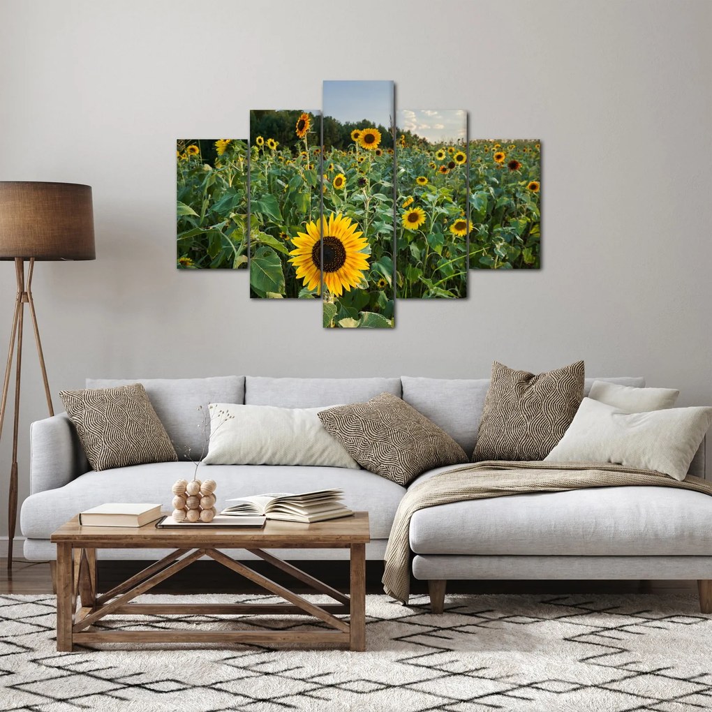 Tablou - Câmpul de floarea-soarelui II. (150x105 cm)