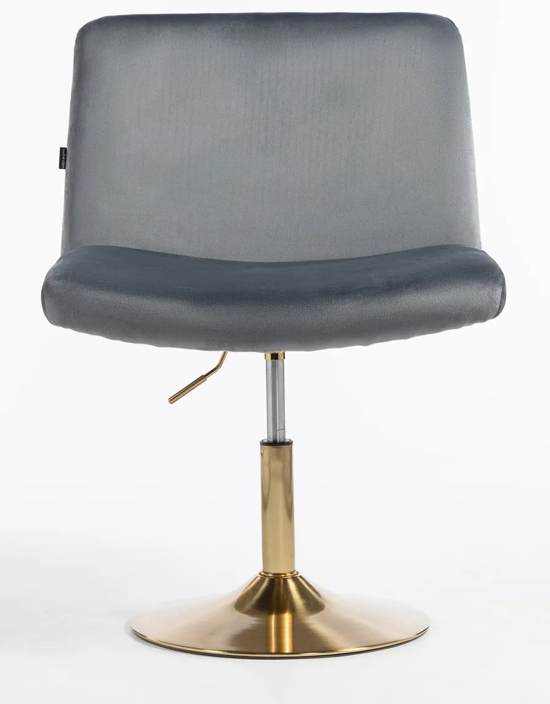 HR150N Scaun Grafit din Catifea cu Bază Aurie