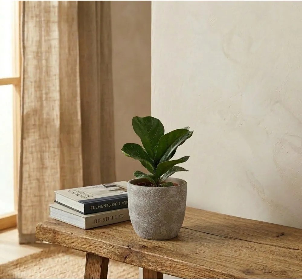 Ghiveci din teracotă ø 16,5 cm Hector – Bizzotto