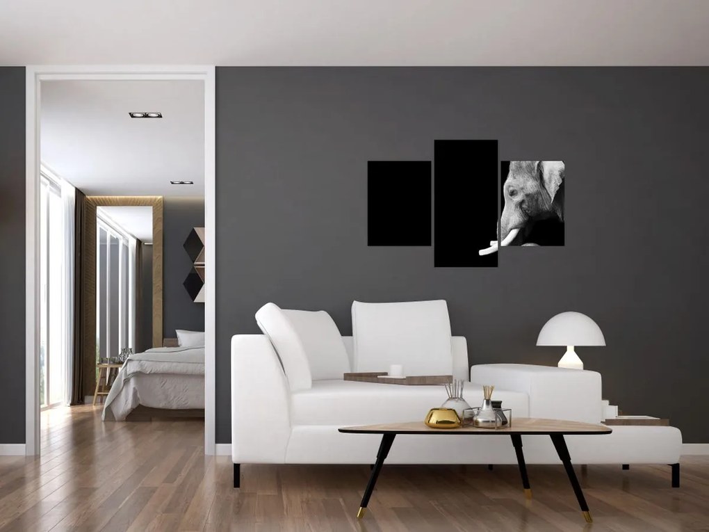 Tablou - Elefant (90x60 cm)