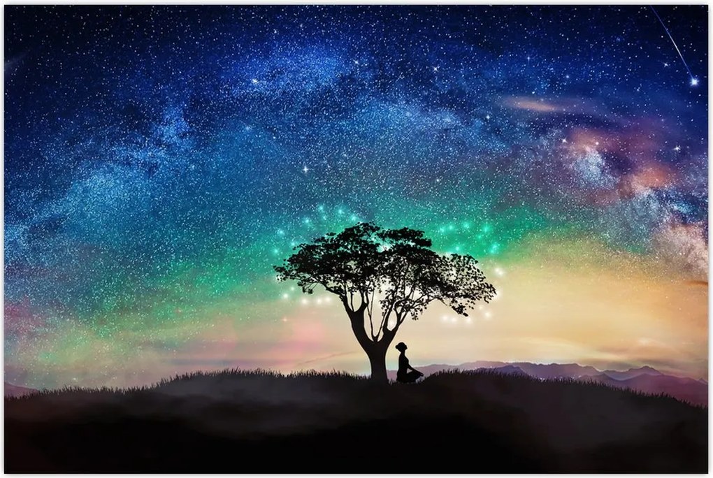 Tablou - Relaxare sub stele (90x60 cm)