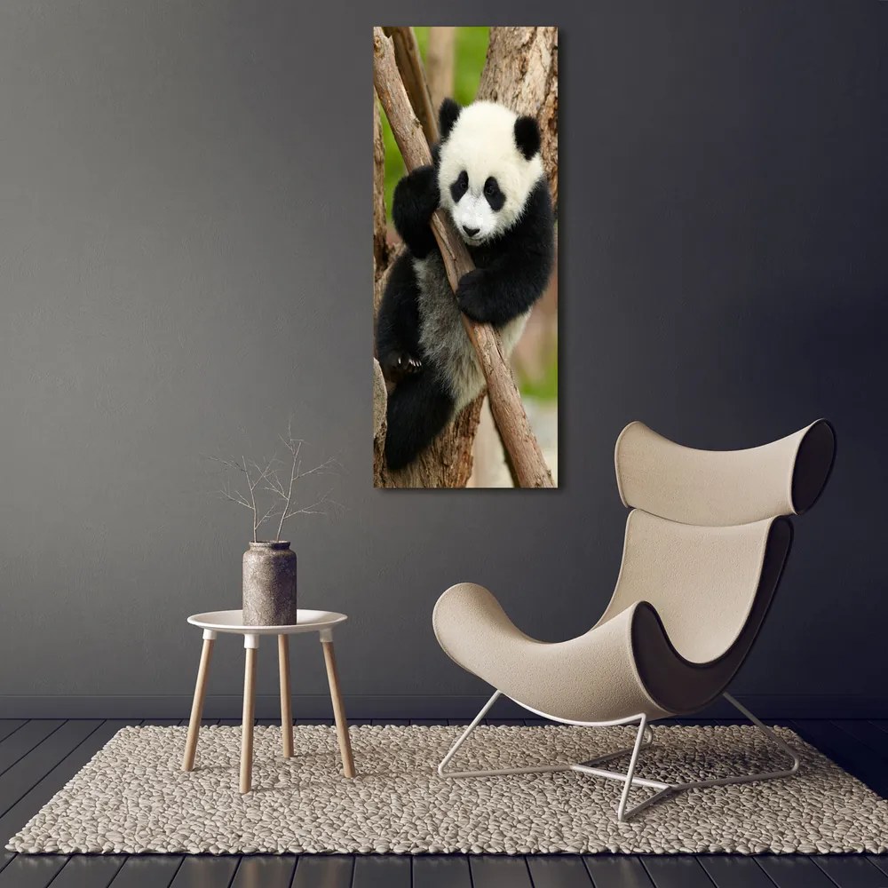 Tablou Printat Pe Sticlă Panda într-un copac