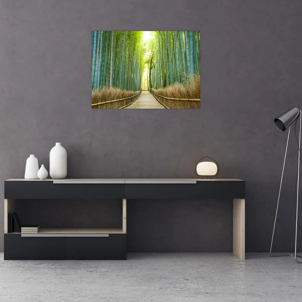 Tablou pe sticlă - Pădure de bambus (70x50 cm)