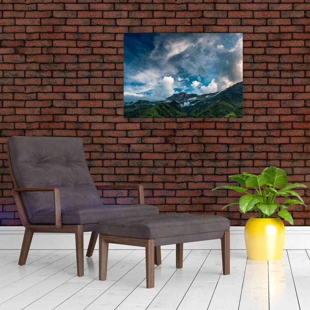 Tablou cu munții (70x50 cm)