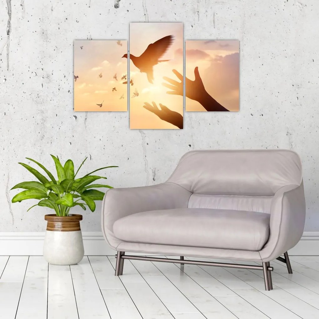 Tablou - Porumbițo, zboară! (90x60 cm)