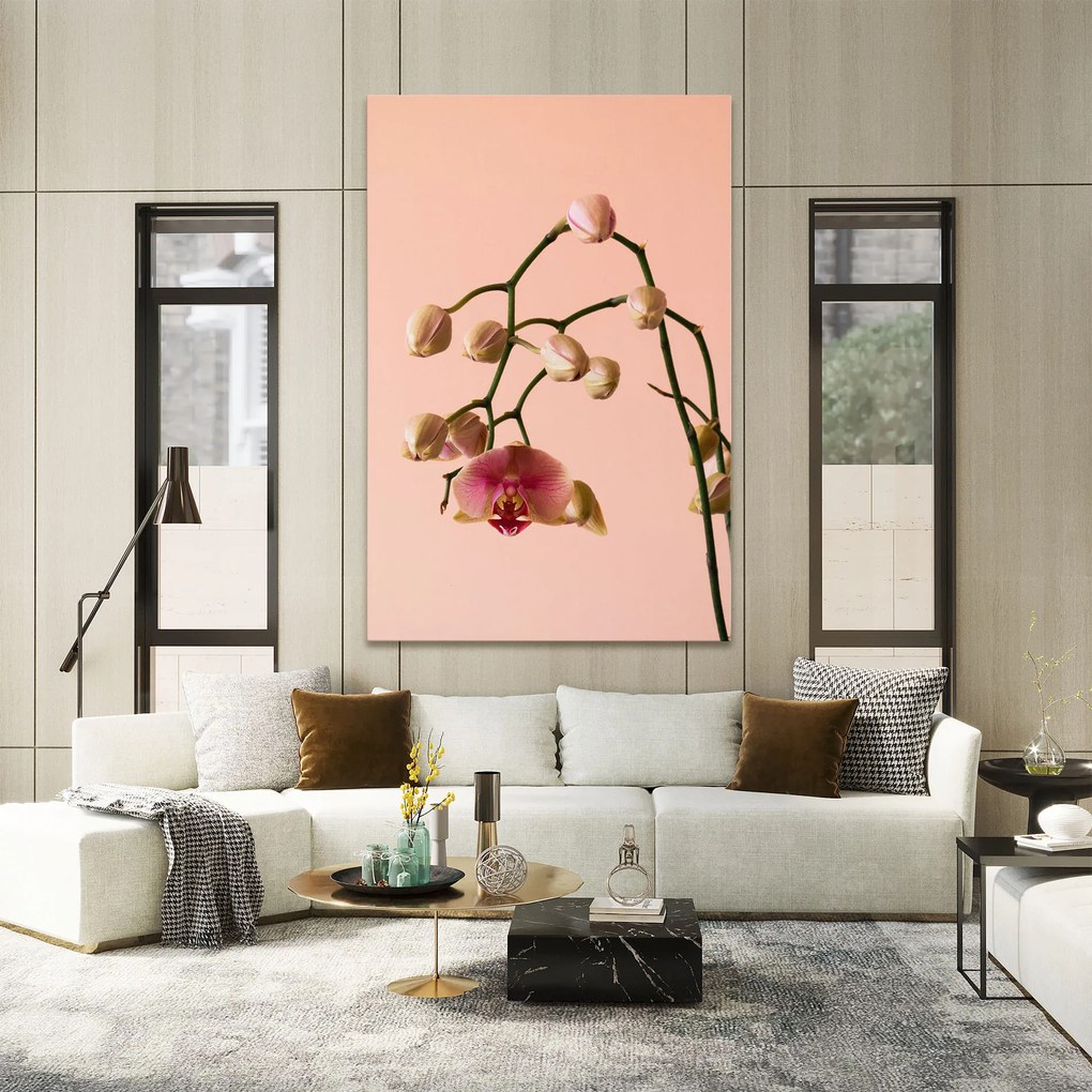 Tablou Canvas, 20x30cm, Dormitor si Living, Flori, Orhidee, Orchids On Pink