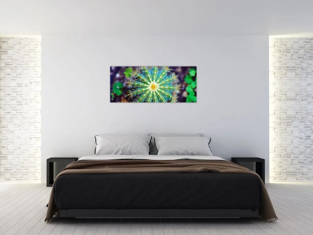Tablou cu cactus (120x50 cm)