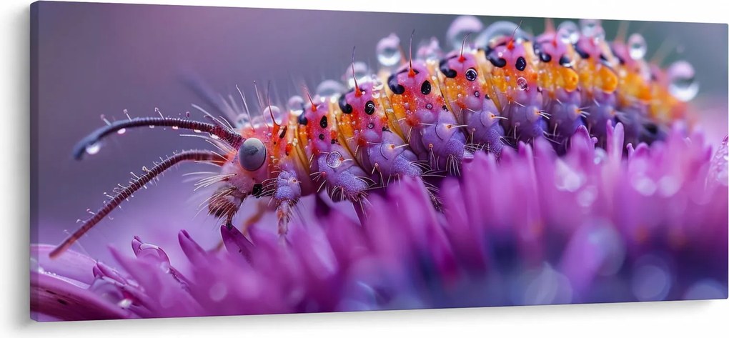 Tablou - Caterpillar (120x50 cm)