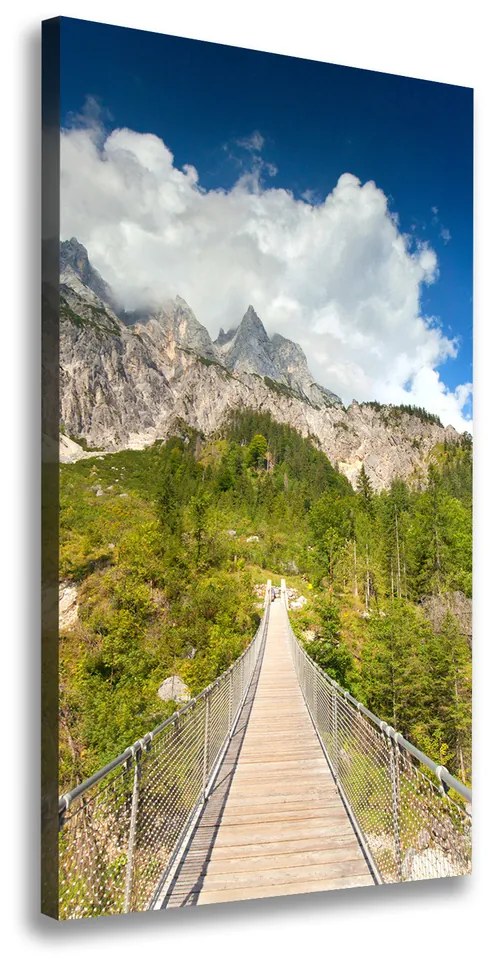 Print pe canvas Pod suspendat