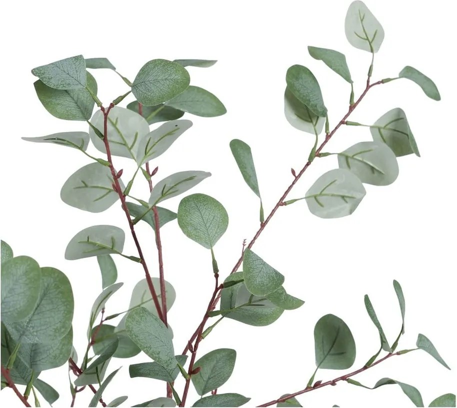 Eucalipt artificial (înălțime 180 cm) Eucalyptus – Ixia