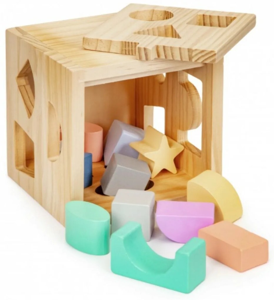 Eco Toys Educativ din lemn cub, introduceți