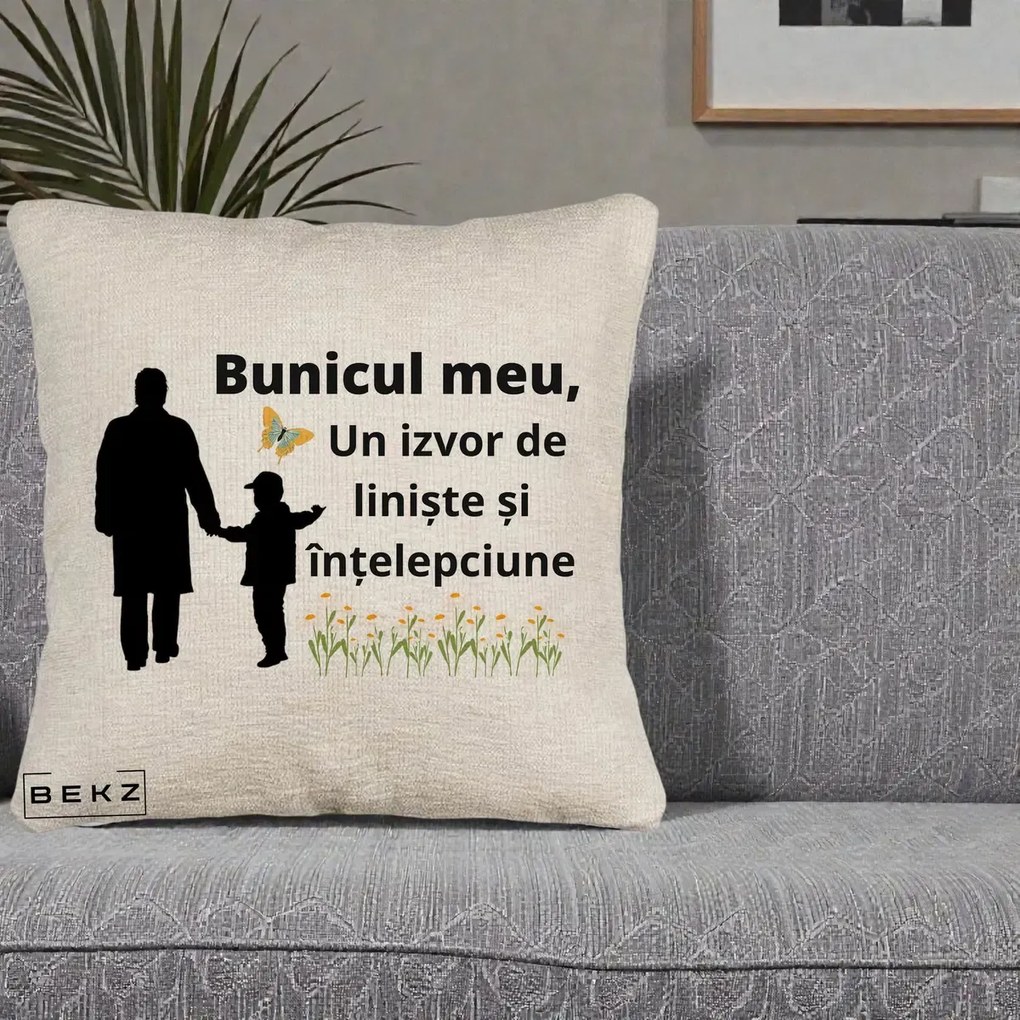 Cadou pentru Bunic - Perna Personalizata Bunicul Meu Izvor de Liniste cu Fluture si Baietel, 40x40 cm, Bej Canapea, Husa Detasabila, Perna Inclusa, BEKZ®