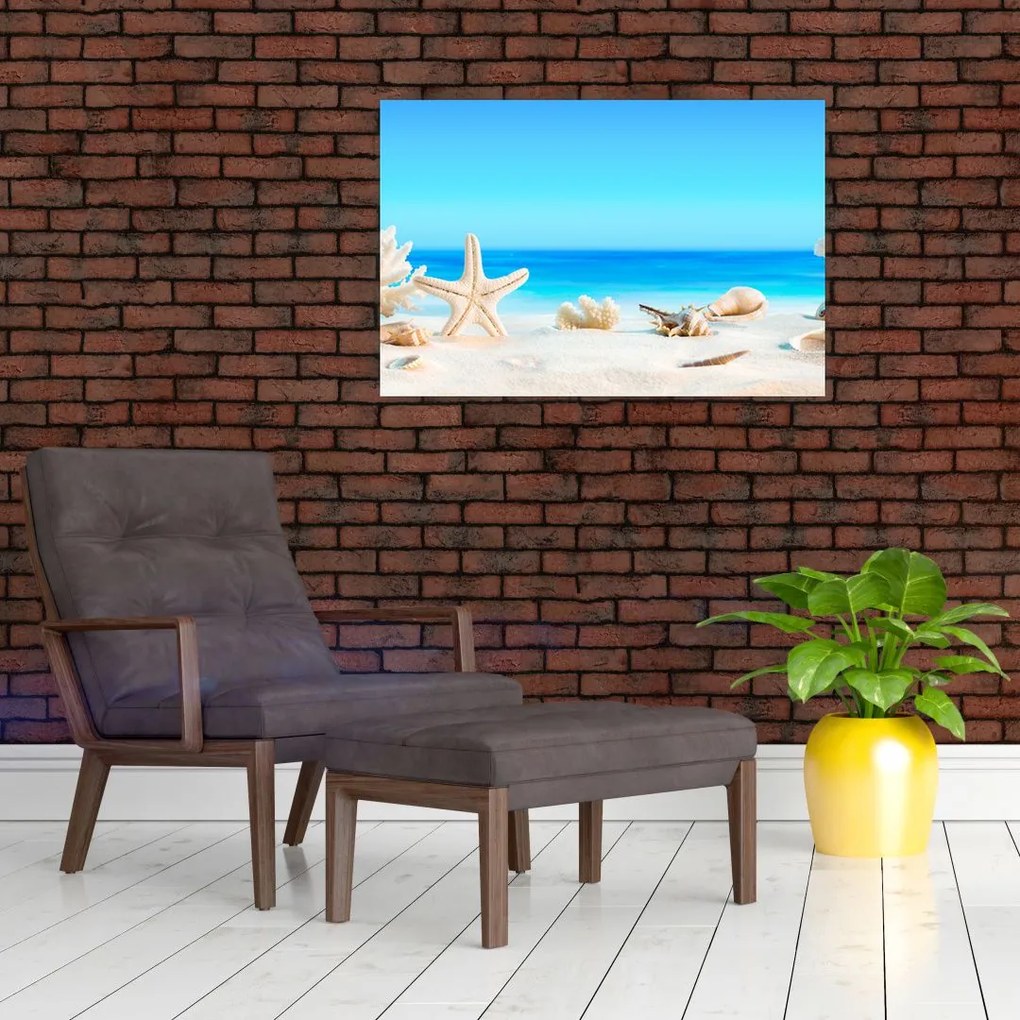 Tablou - Natura morta cu scoici (90x60 cm)