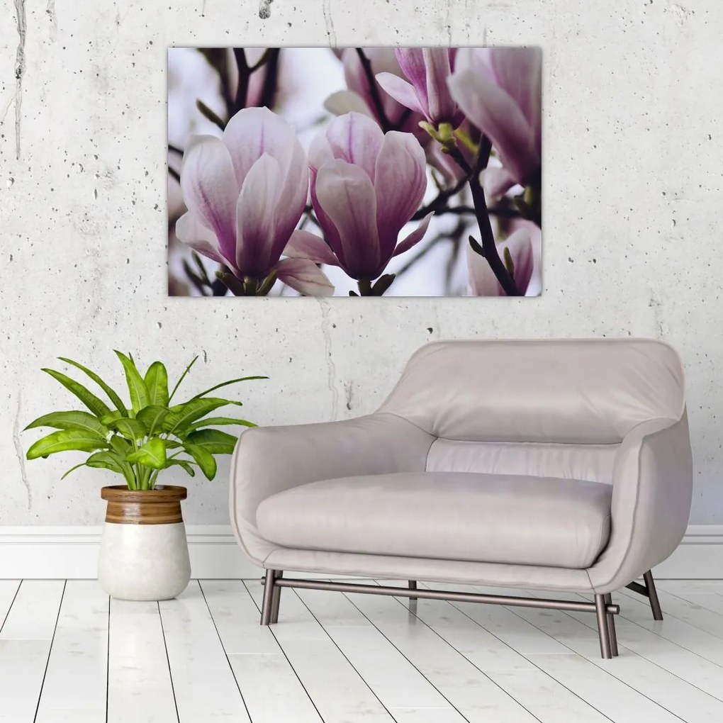 Tablou - Magnolie (90x60 cm)