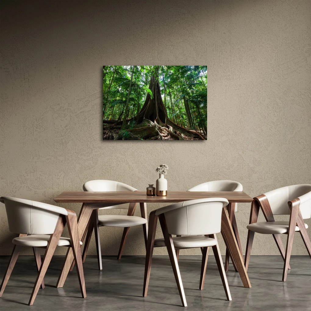 Tablou - Rădăcinile copacului (70x50 cm)