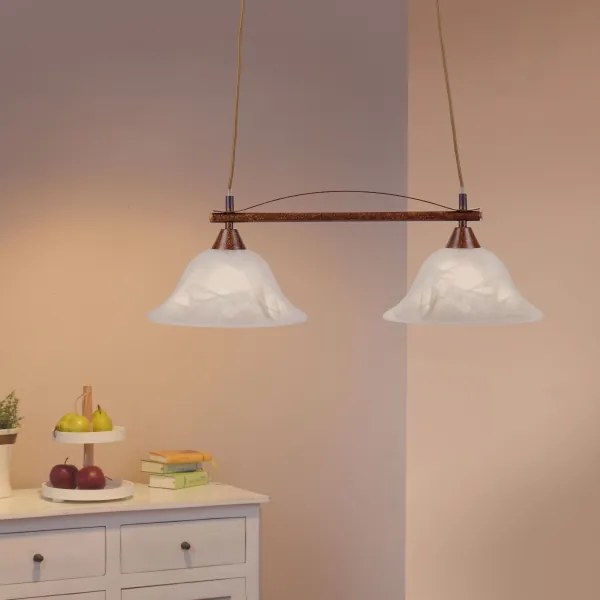 Lustră pe cablu NELLY 2xE14/40W/230V Paul Neuhaus 15242-48