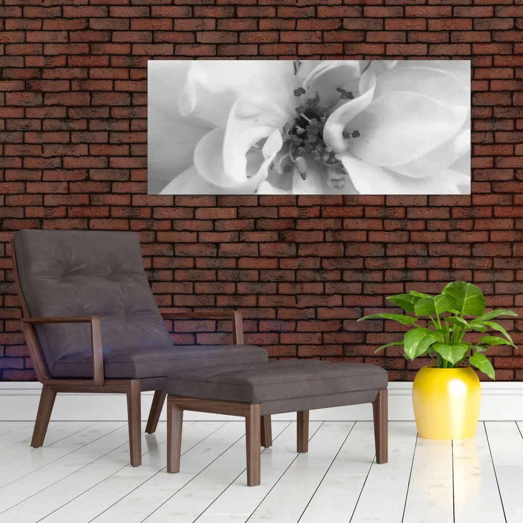 Tablou - Floare,alb-negru (120x50 cm)