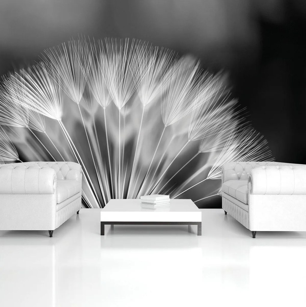 Fototapet - Păpădie (152,5x104 cm)