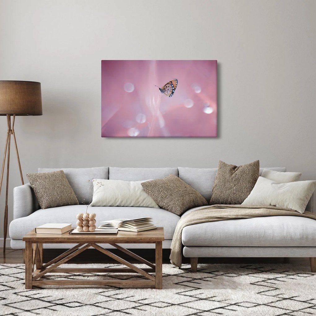 Tablou - Fluture (90x60 cm)