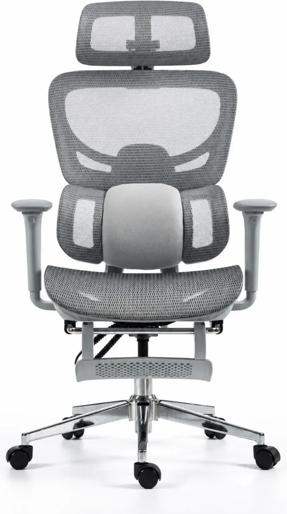 ErgoVanta Mesh — Scaun ergonomic, Suport lombar reglabil, Tetieră 2D, Cotiere reglabile, Mecanism cu blocare, Suport pentru picioare retractabil, Mesh, Gri