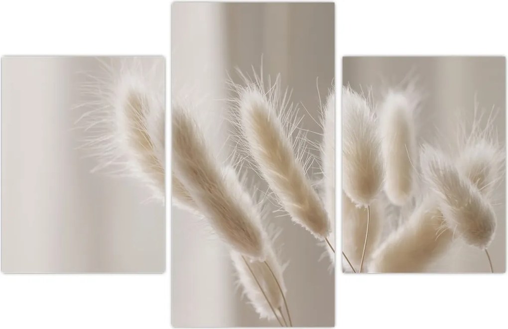 Tablou - Cozi de iepure (90x60 cm)