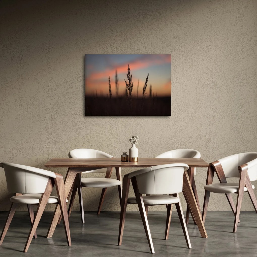 Tablou - Silueta plantei (70x50 cm)