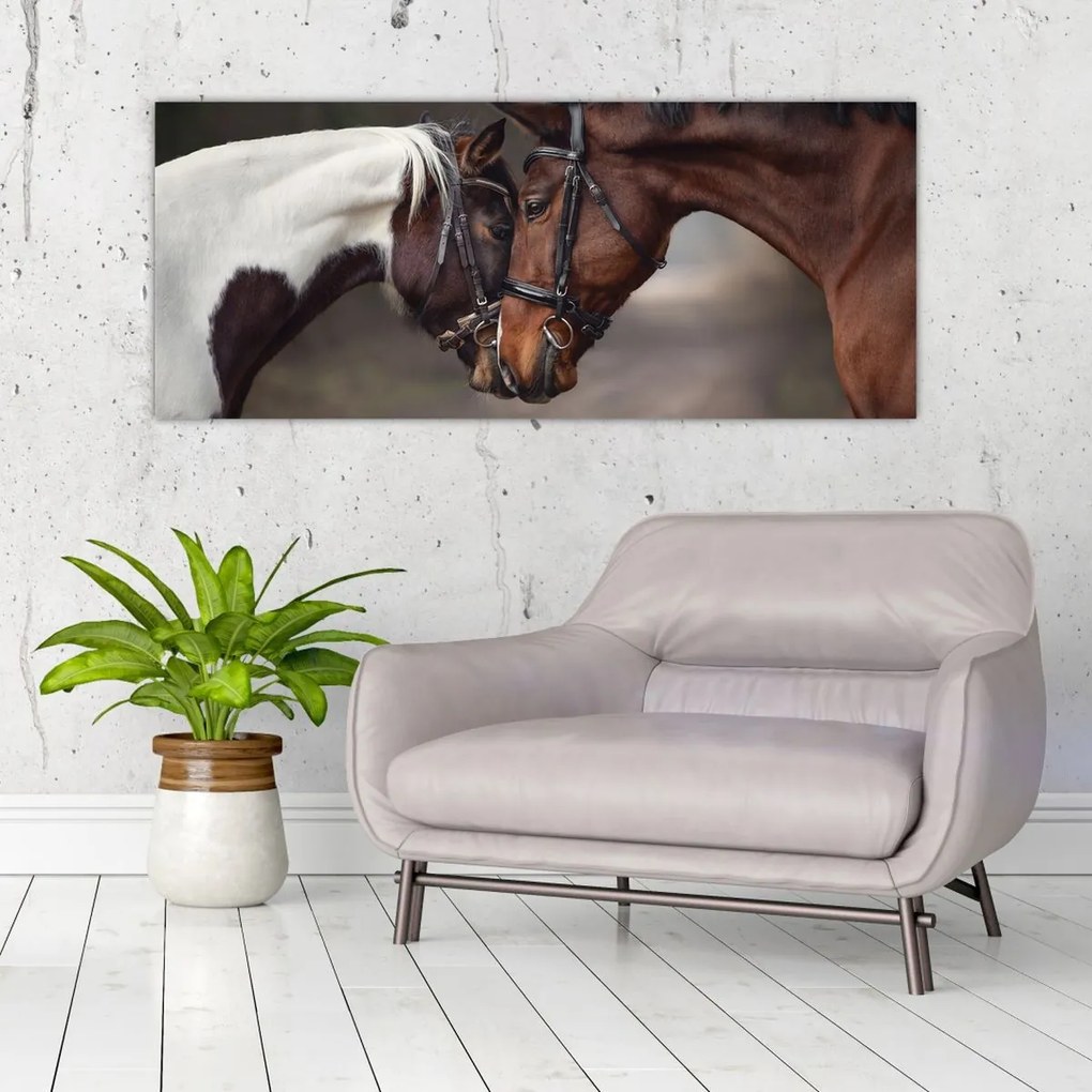 Tablou - Cai îndrăgostiți (120x50 cm)