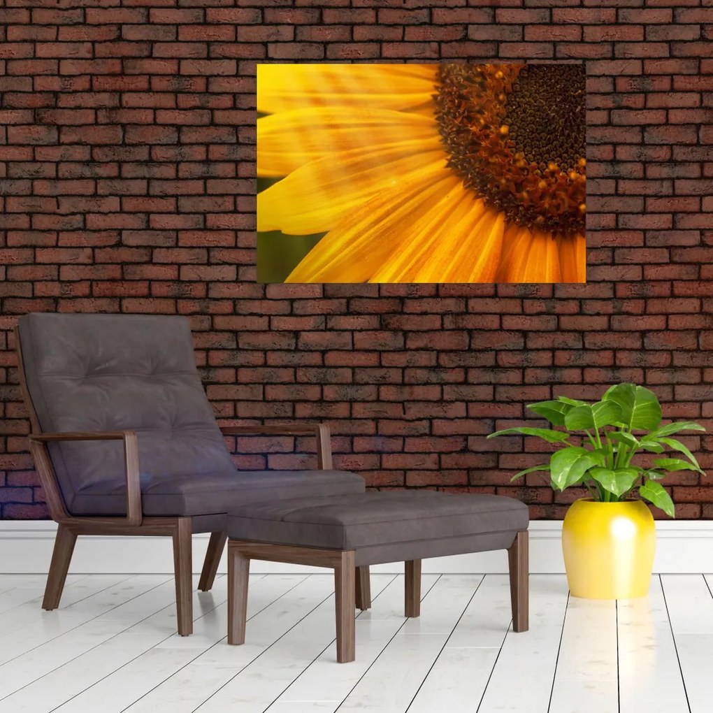 Tablou - Floarea-soarelui (90x60 cm)
