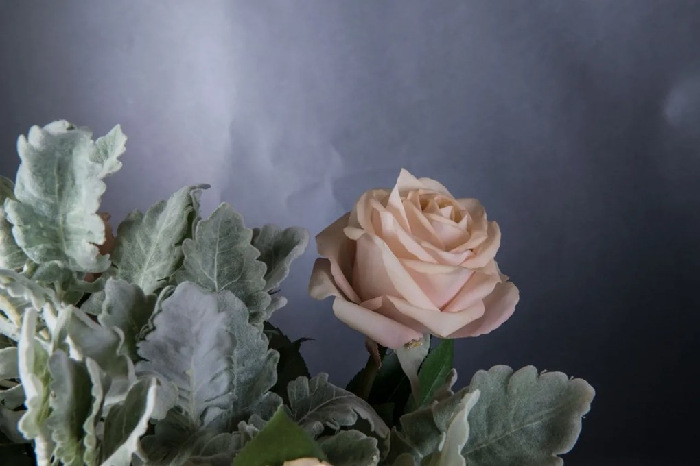 Aranjament floral mare design LUX VASE FRAGRANCE ROSES CORFU 1142258.23