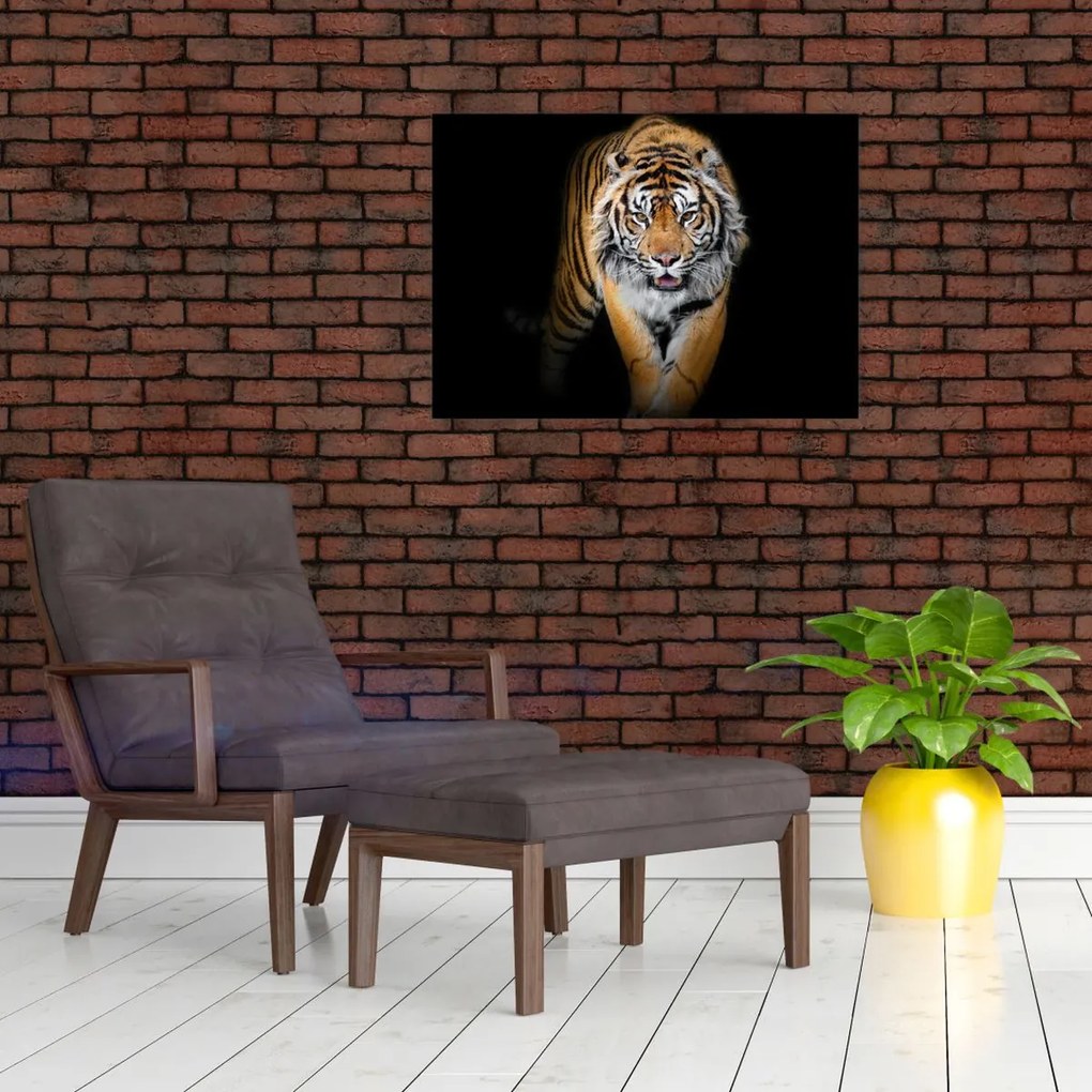 Tablou pe sticlă - Tiger (70x50 cm)
