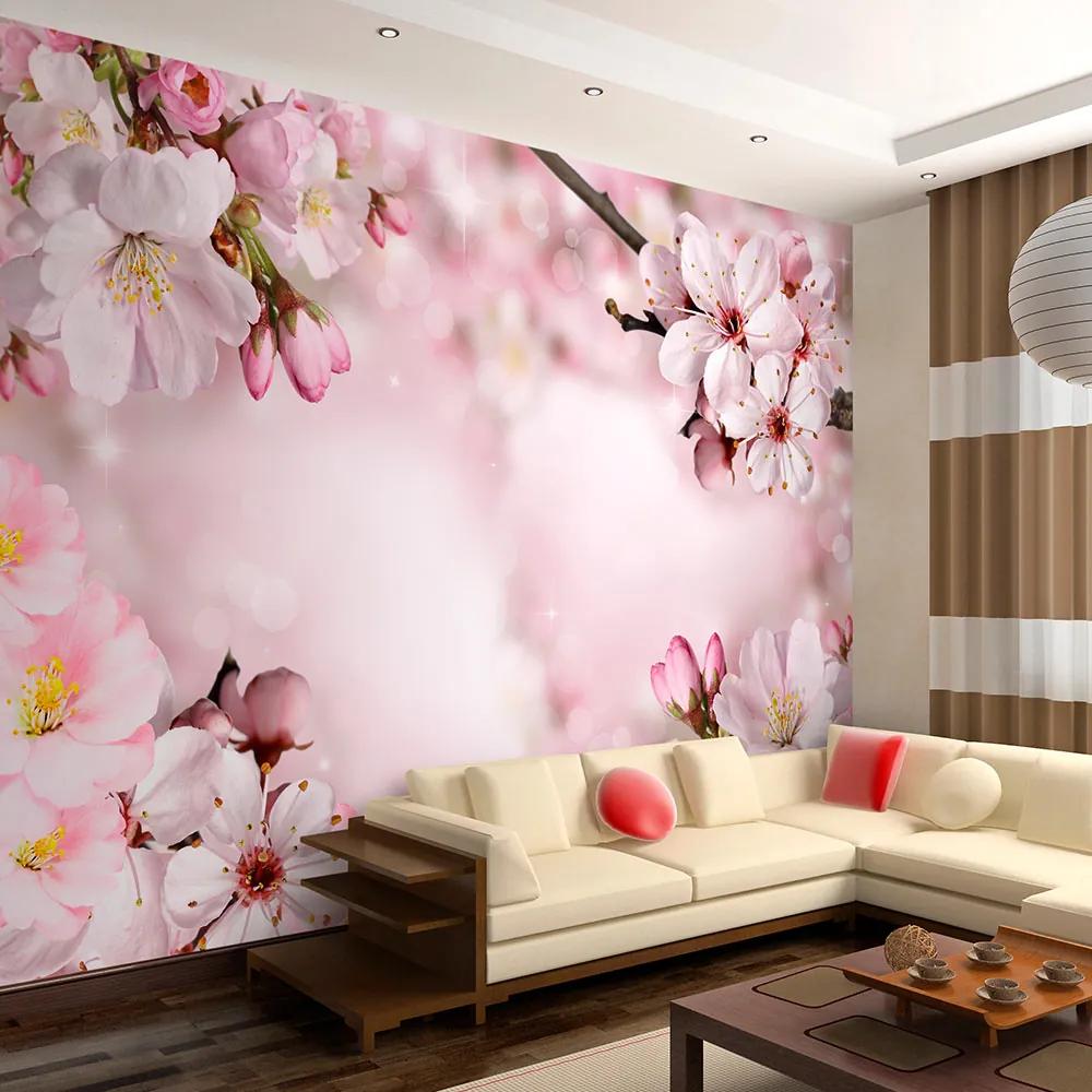 Fototapet Bimago - Spring Cherry Blossom + Adeziv gratuit 400x280 cm