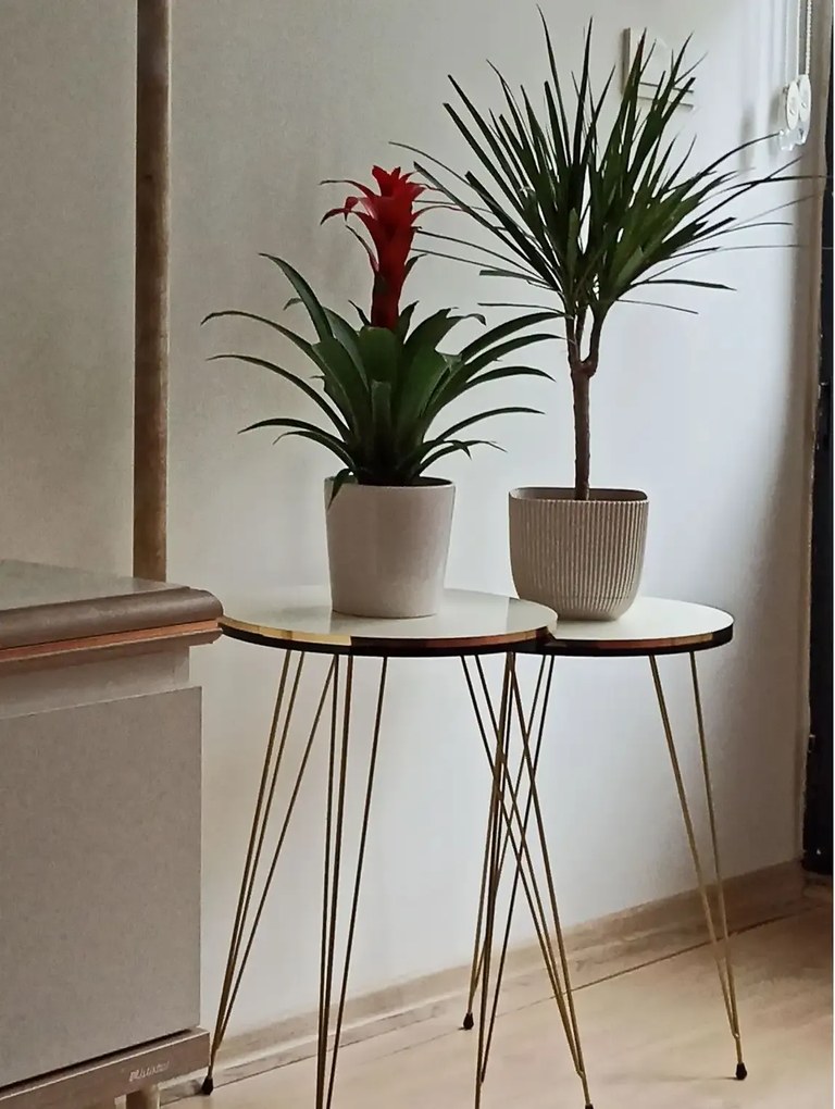 Set masuta de cafea,Seria 440,Homs, 3 buc,20035