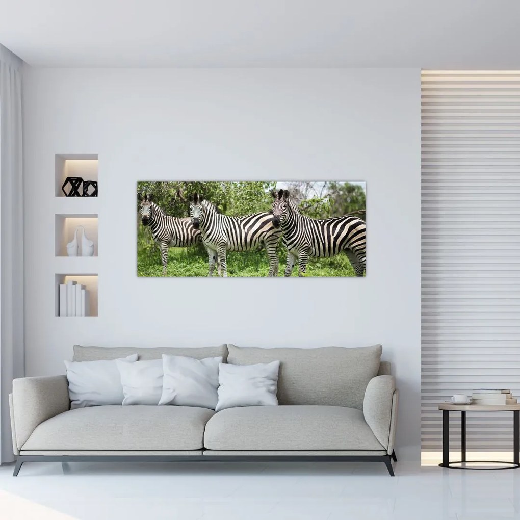 Tablou cu zebre (120x50 cm)