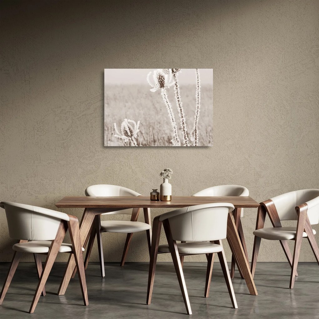Tablou pe sticlă - Ciulinul în timpul iernii (70x50 cm)