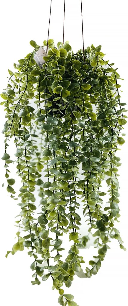 Plantă artificială suspendată Senecio, 60 cm