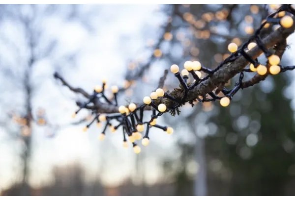 Instalație LED de Crăciun de exterior BERRY MINI 300xLED/8 funcții 11m IP44 alb cald Eglo