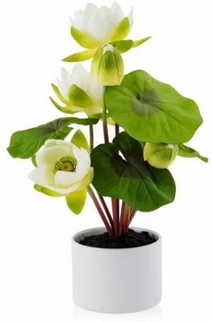 Floare decorativa nenuphar