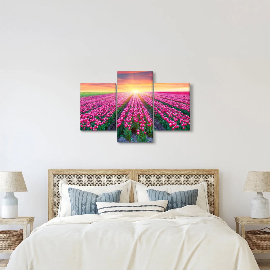 Tablou cu câmp de lalele cu soare (90x60 cm)