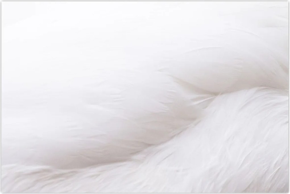 Tablou - Detalii pene (90x60 cm)